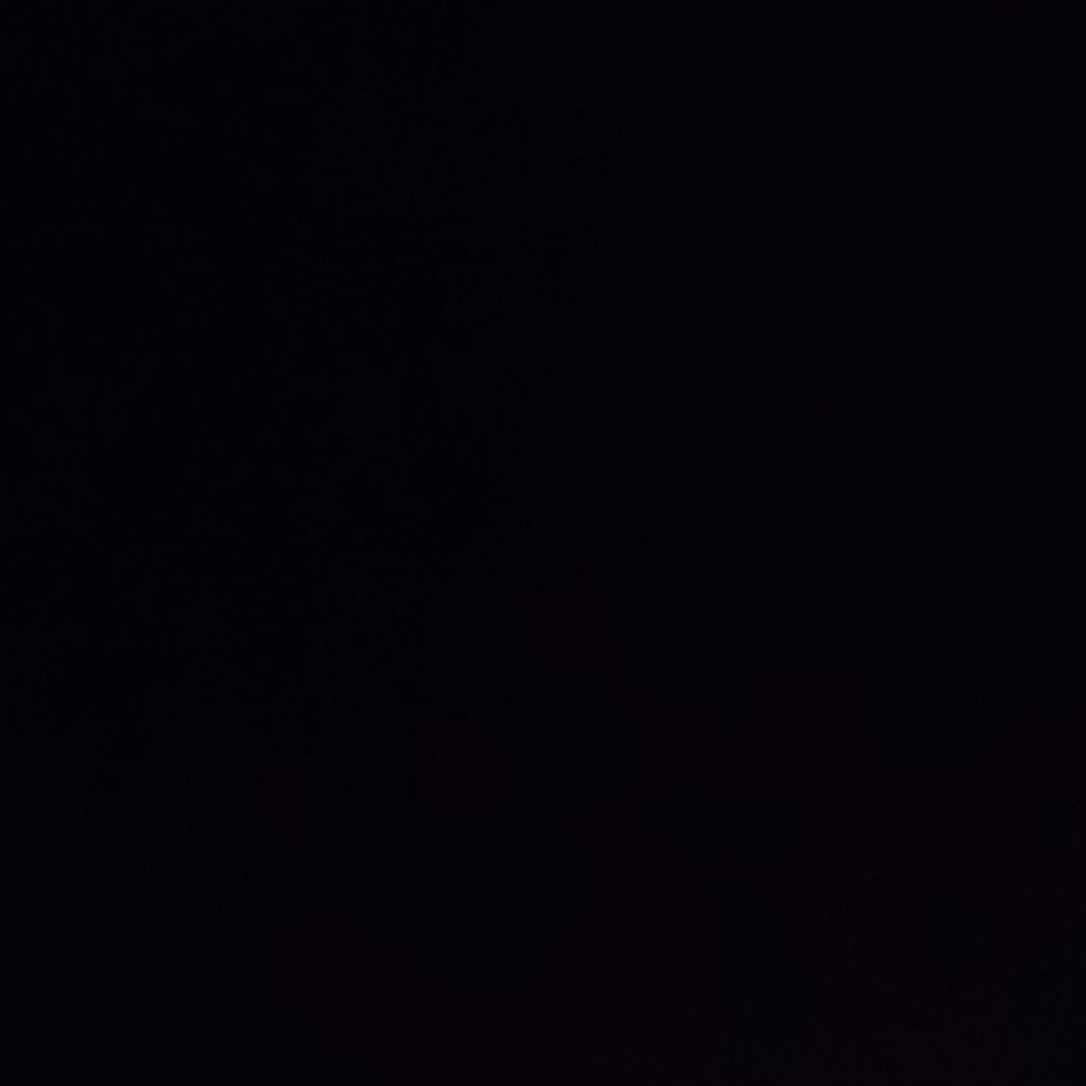 Meet your Posher, Shree